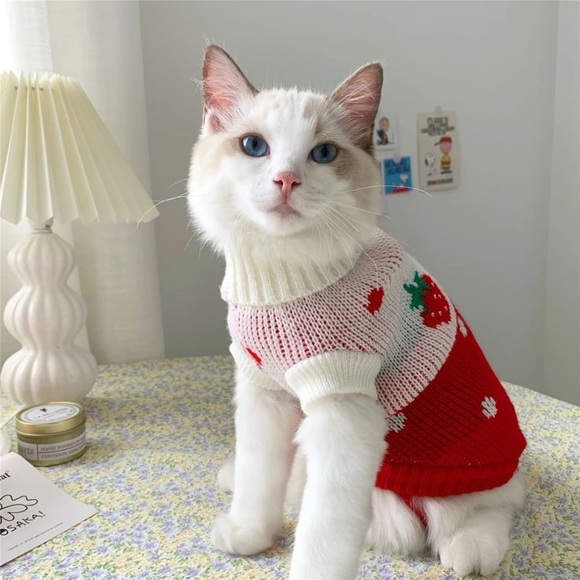 Happy and Polly Strawberry Heart Warm Vest for Cats and Dogs - Picture 3 of 3